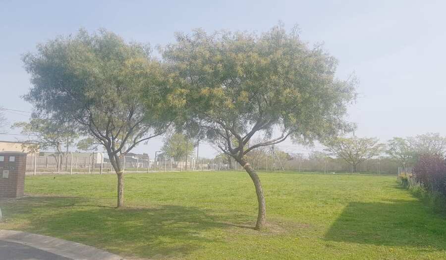 Terreno en Barrio privado Santa Elena